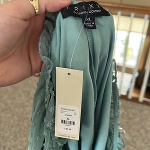 NWT Francesca’s dress
